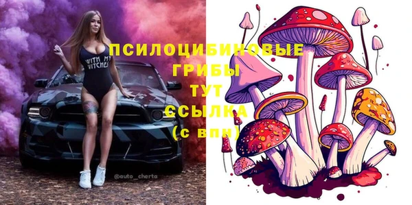 apvp Красноперекопск