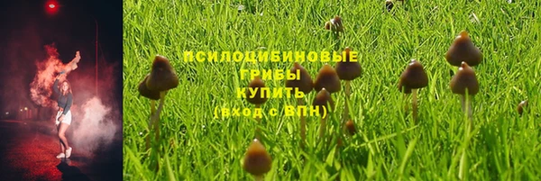 МДПВ Краснослободск