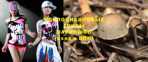 скорость Краснотурьинск