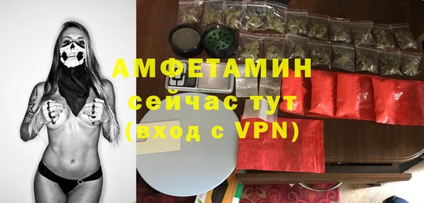 МДПВ Краснослободск